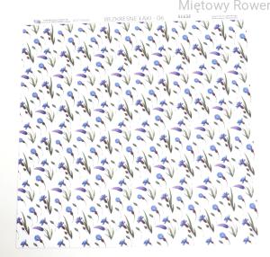 PAPIER DO SCRAPBOOKINGU 30X30CM BEZKRESNE ŁĄKI 06 