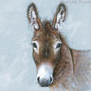 SERWETKI decoupage 20szt Young Donkey Ambiente